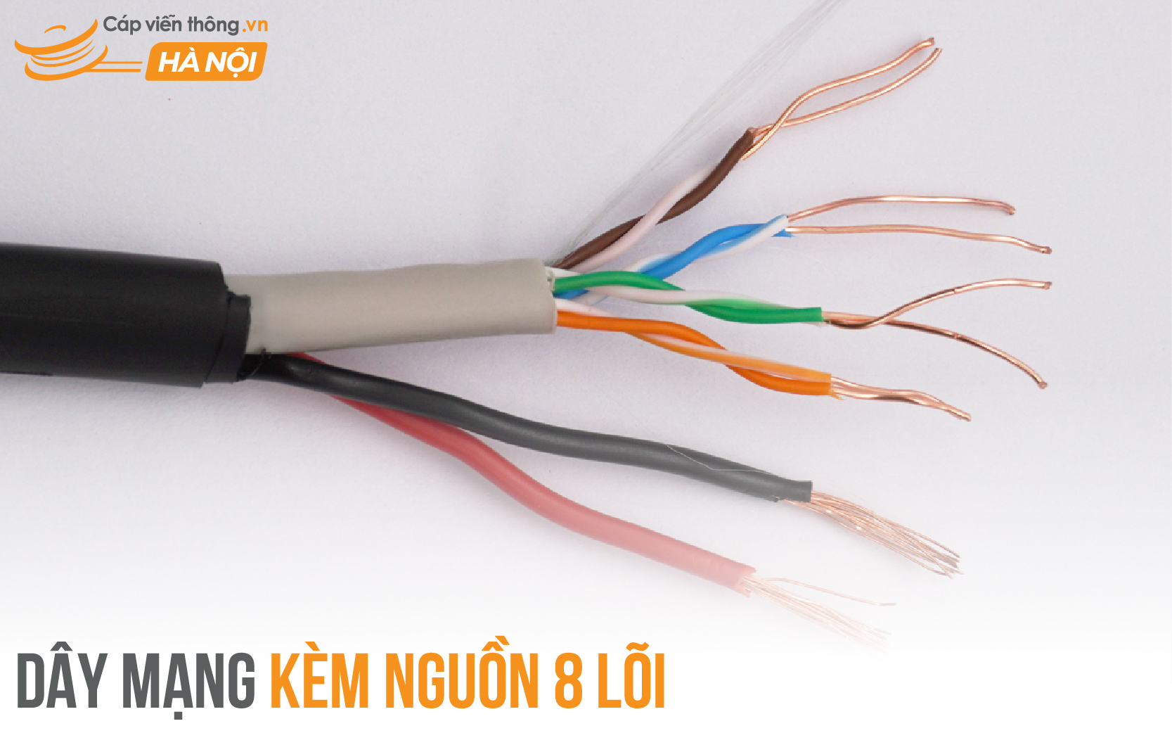 Dây mạng kèm nguồn 8 lõi