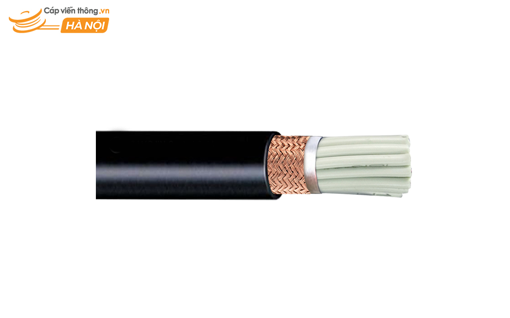 Cáp điều khiển 10 lõi có lá nhôm