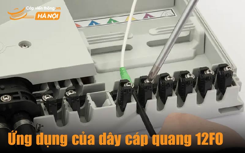 Ứng dụng của dây cáp quang 12FO