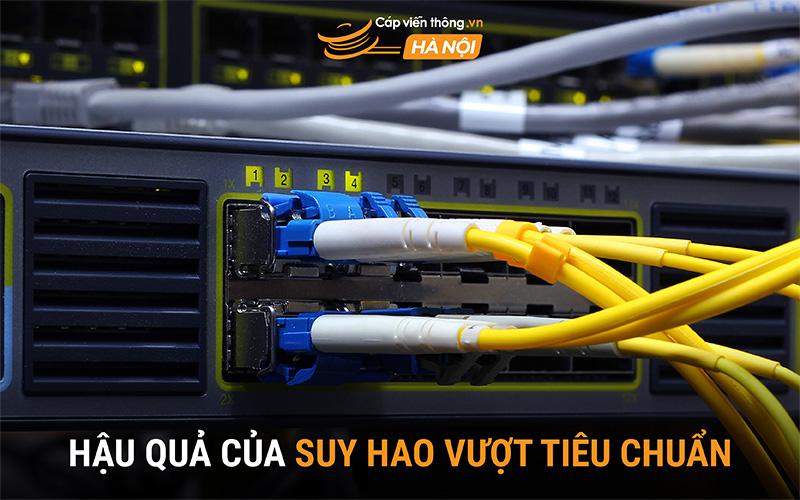 Hậu quả của suy hao vượt tiêu chuẩn