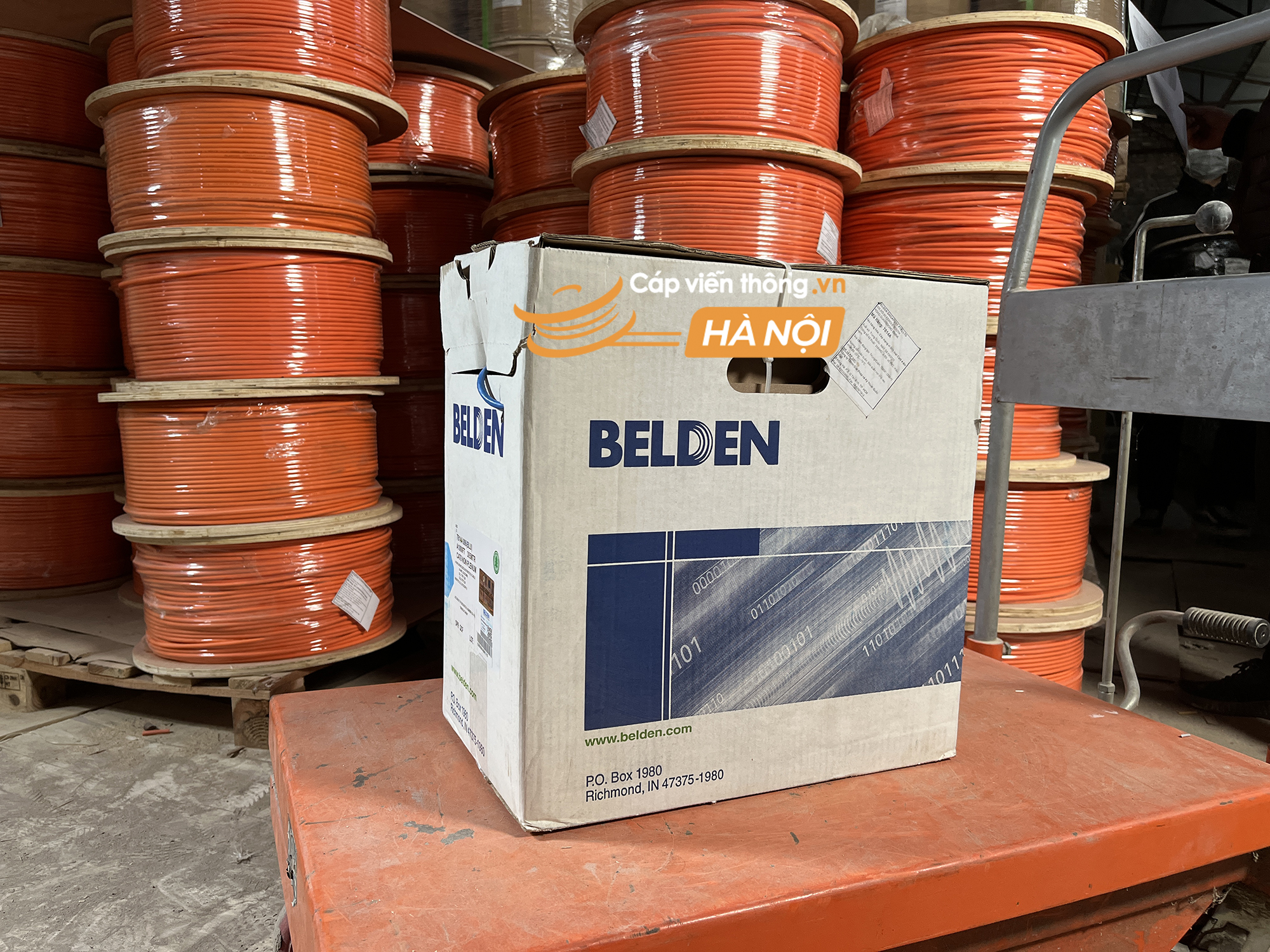 Cáp mạng Belden Cat6 UTP 7814A