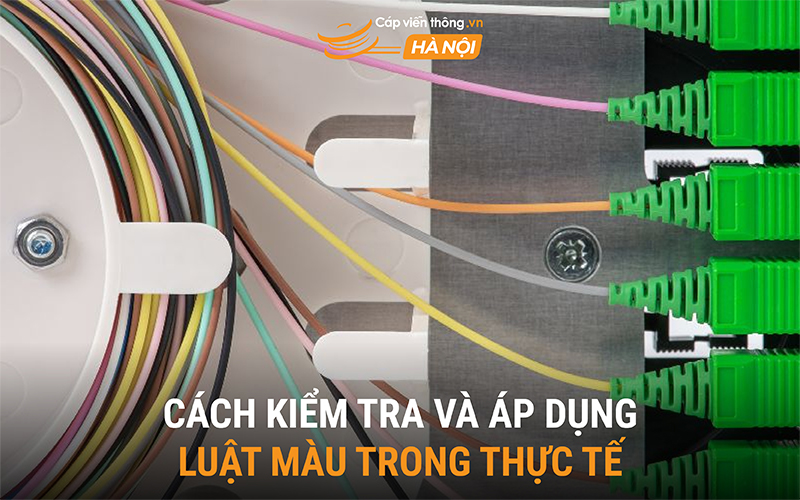 Cách kiểm tra và áp dụng luật màu trong thực tế