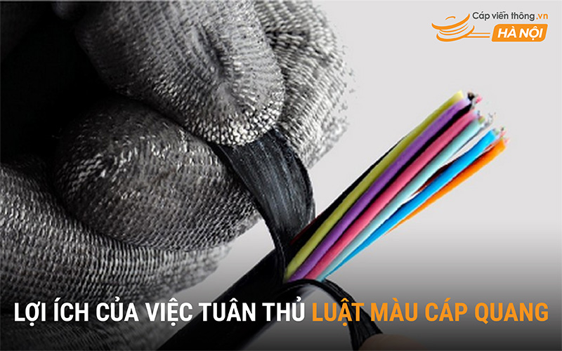 Lợi ích của việc tuân thủ luật màu cáp quang