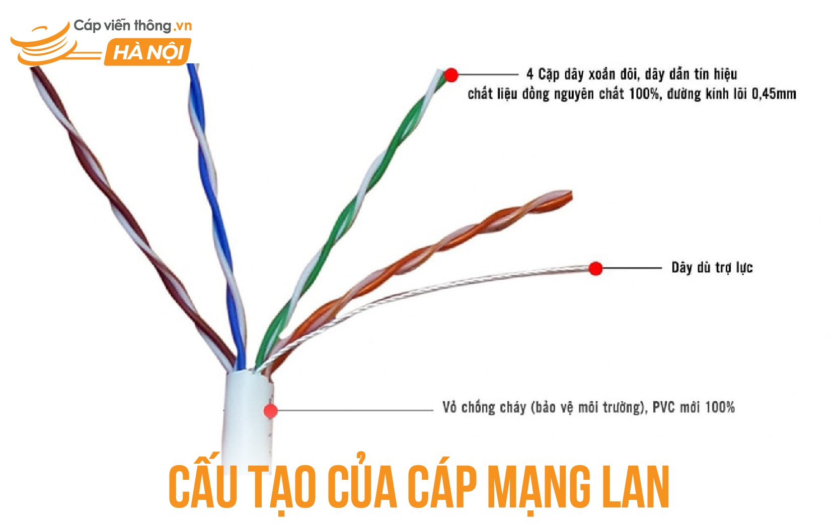 Cấu tạo của cáp mạng LAN