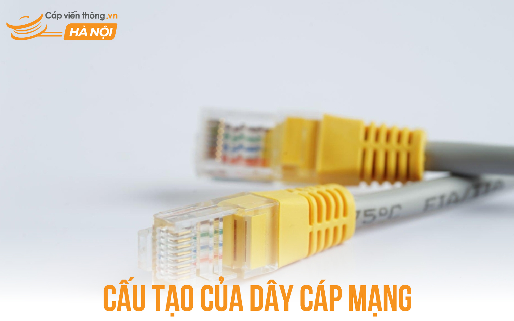 Cấu tạo của dây cáp mạng