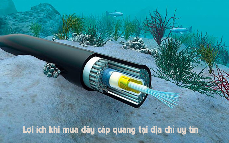 Lợi ích khi mua dây cáp quang tại địa chỉ uy tín