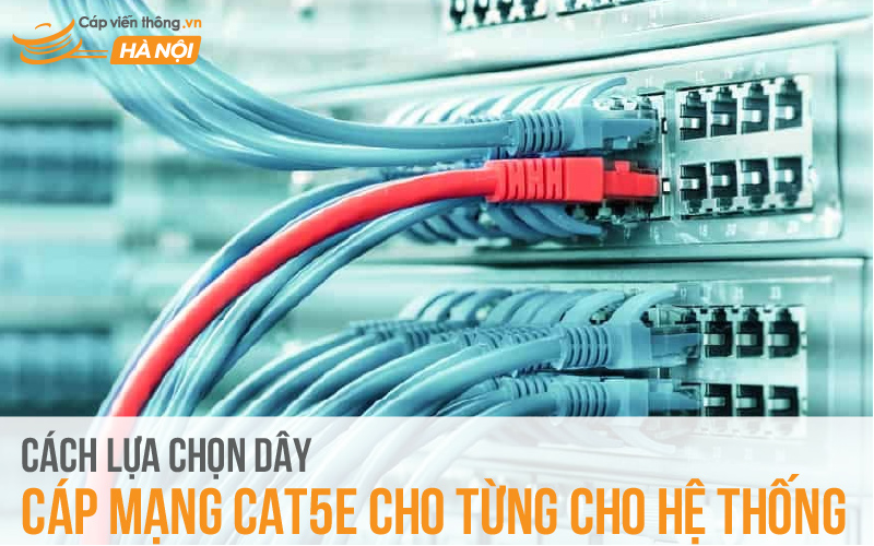 Cách lựa chọn dây cáp mạng Cat5e cho từng cho hệ thống