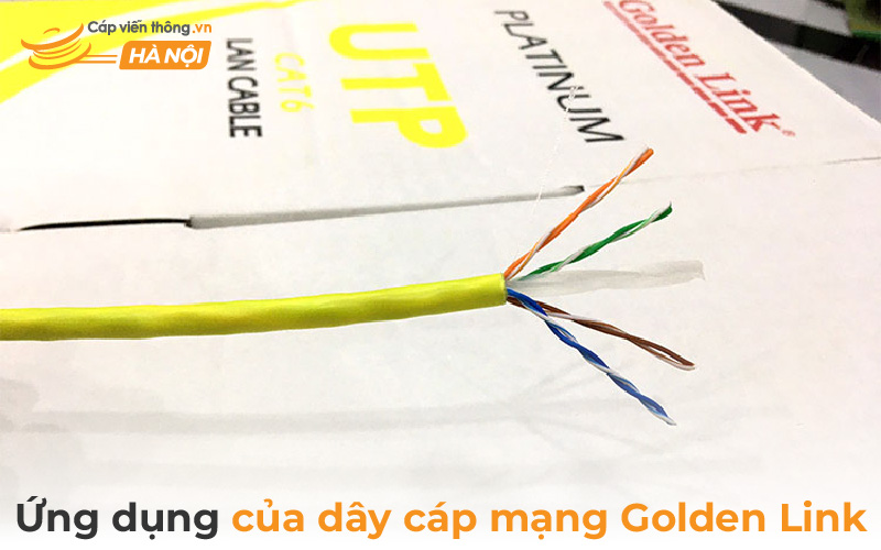 Ứng dụng của dây cáp mạng Golden Link