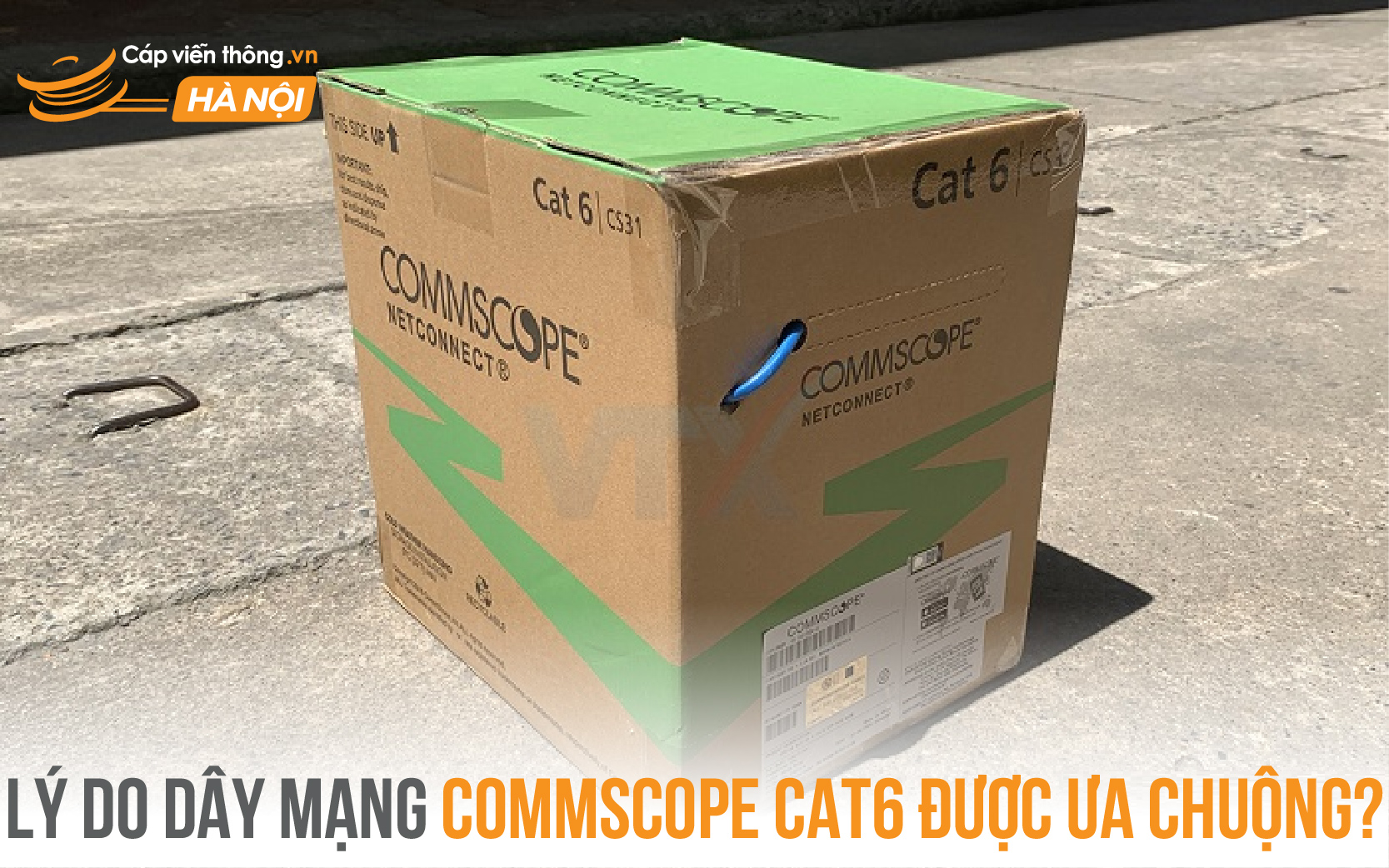 Lý do dây mạng Commscope Cat6 được ưa chuộng?