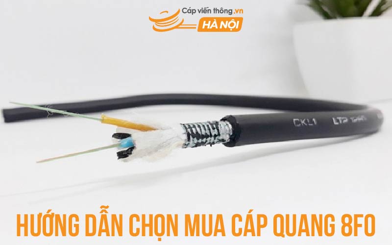 Hướng dẫn chọn mua cáp quang 8FO