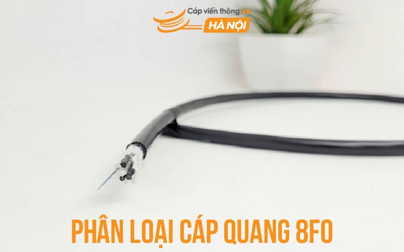 Phân loại cáp quang 8FO