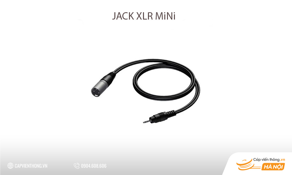 Jack mini XLR
