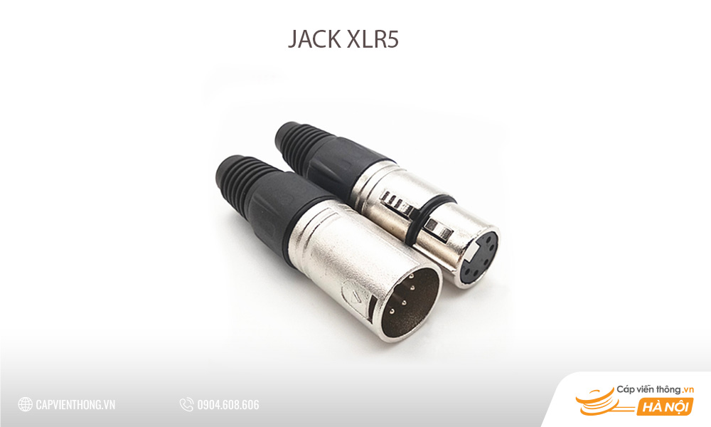 Jack XLR5