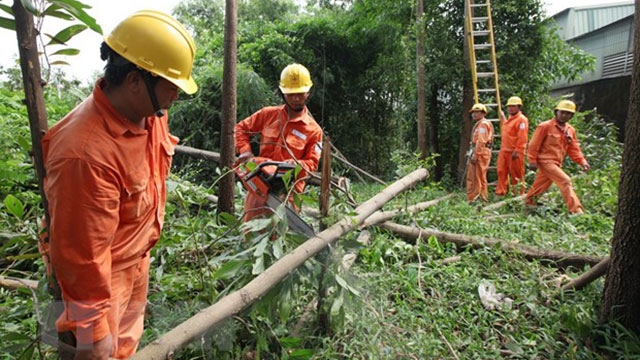 Những lưu ý cần thiết trong việc sử dụng và bảo quản cáp điện trong mùa mưa bão