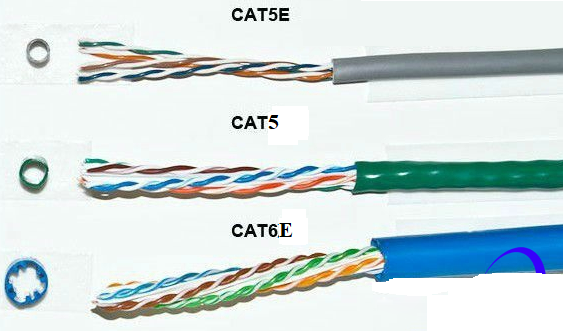 Dây mạng Cat5 là gì? So sánh cáp Cat5 và Cat6 - Nên chọn loại nào?