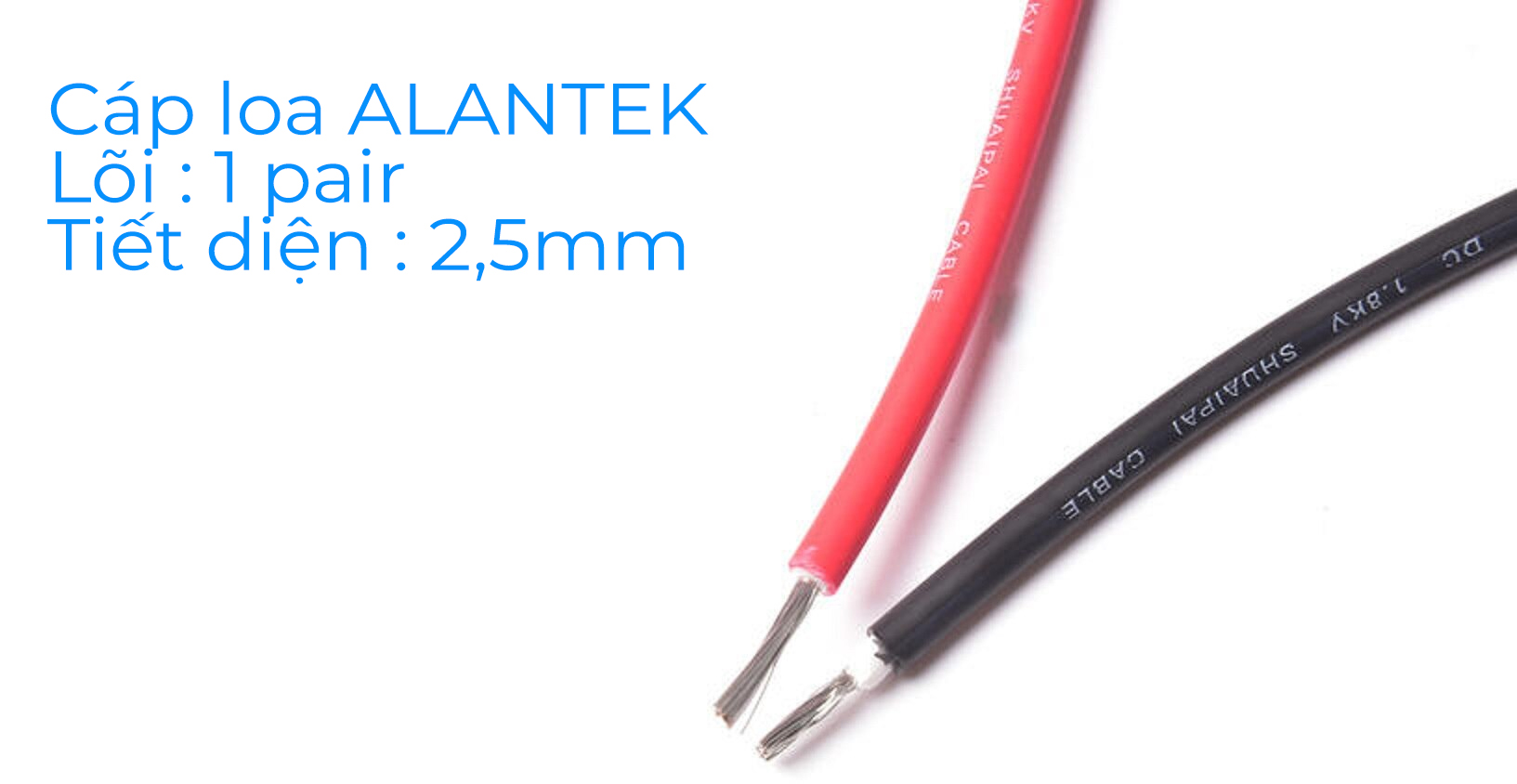 Cáp loa ALANTEK 2x1,5mm