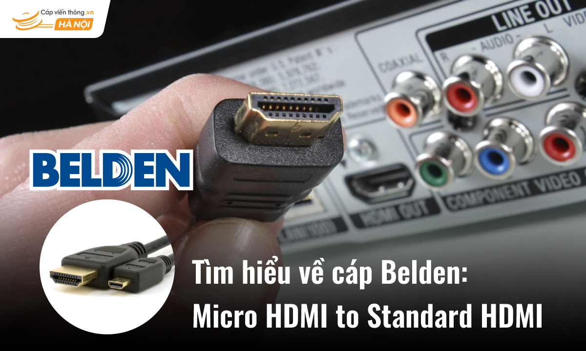 Tìm hiểu cáp micro HDMI Belden to Standard HDMI