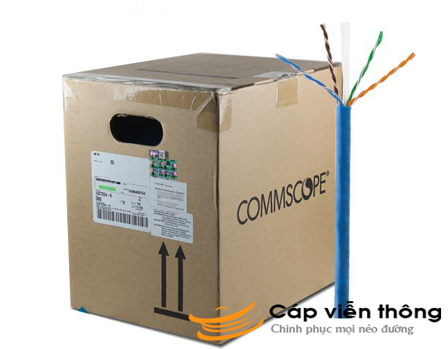 Dây cáp mạng AMP là gì? Những điều cần biết về cáp mạng AMP