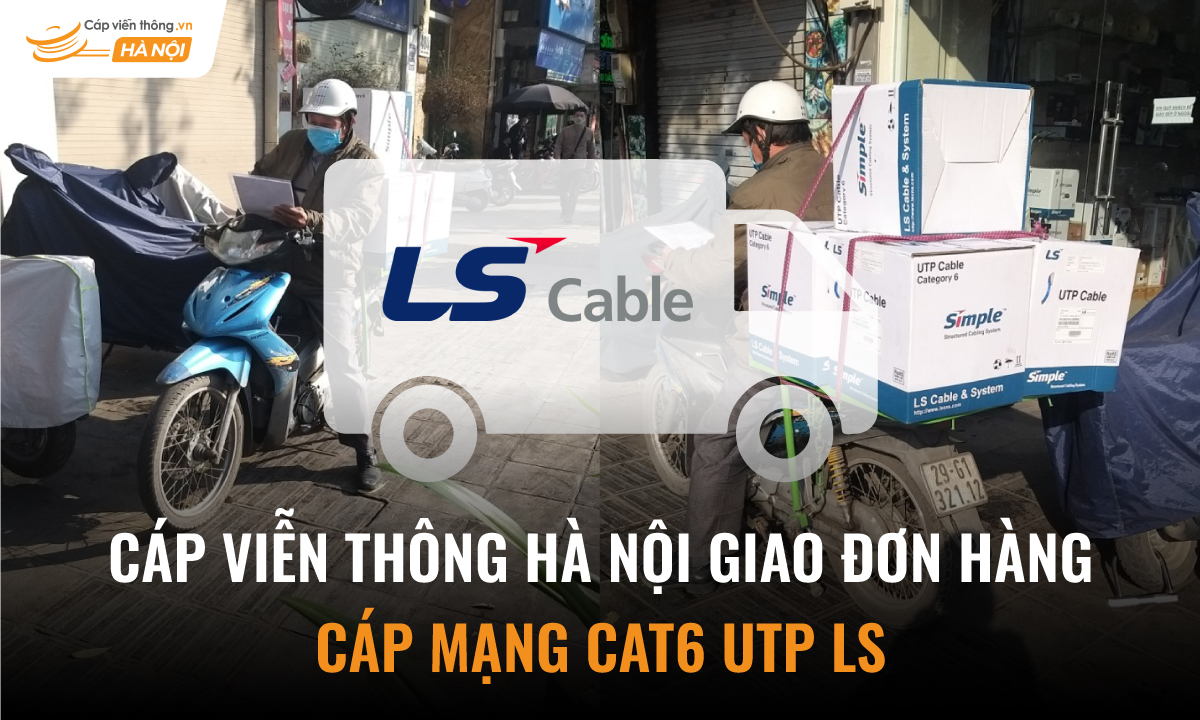 đơn hàng cáp mạng Cat6 UTP LS