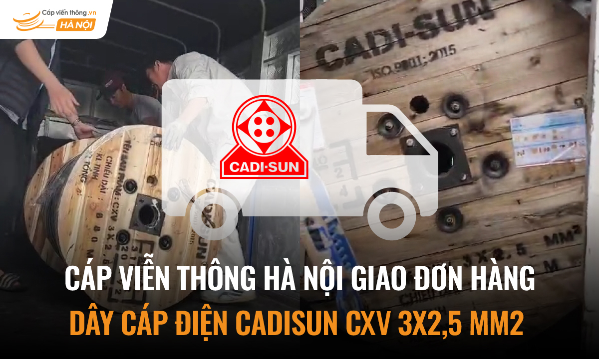 Đơn hàng dây cáp điện Cadisun CXV 3x2,5