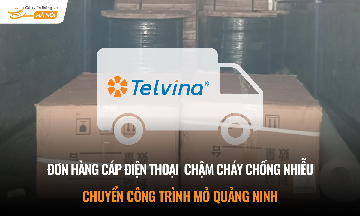 Đơn hàng cáp điện thoại và cáp chậm cháy chống nhiễu Telvina