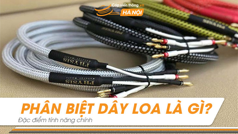 Phân biệt dây loa là gì? Đặc điểm và tính năng chính