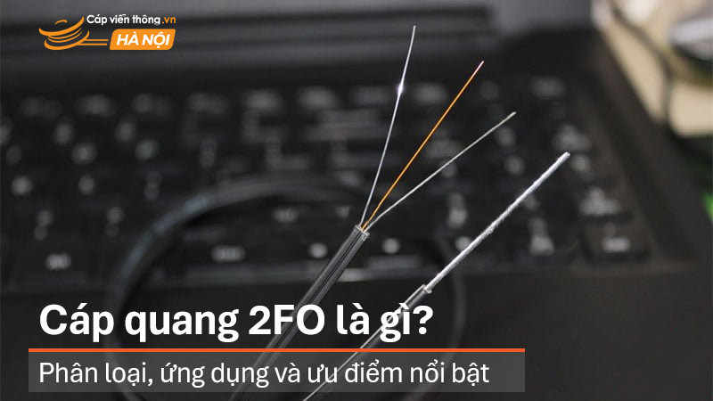 Cáp quang 2FO là gì? Phân loại, ứng dụng và ưu điểm nổi bật