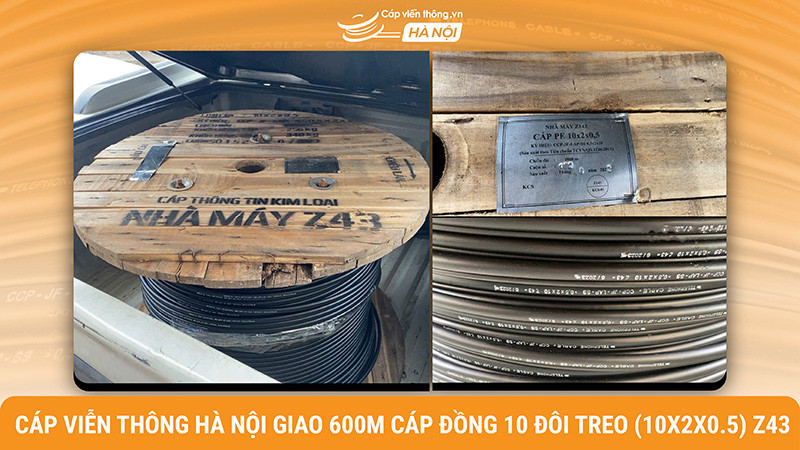 Cáp Viễn Thông cung cấp cáp đồng 10 đôi treo 10x2x0.5 Z43