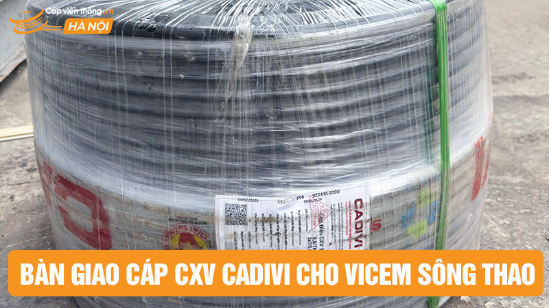 Cáp Viễn Thông Hà Nội bàn giao cáp CXV Cadivi cho Vicem Sông Thao