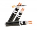 Dây cáp điện Cadisun, Cáp ngầm DSTA 2x150