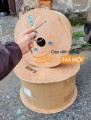 Cáp điều khiển Alantek 18AWG 1 Pair chống nhiễu
