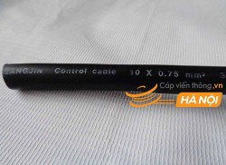Cáp điều khiển chống nhiễu SangJin 10C x 0,75 SQmm có lưới