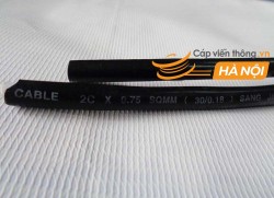  Cáp điều khiển có lưới chống nhiễu 2Cx0,75 SQmm - SangJin