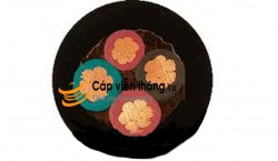 Cáp bọc cao su Goldcup 3x16+10