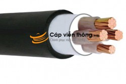 Dây cáp điện Cadivi, Cáp ngầm DSTA 4x16