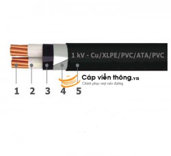 Dây cáp điện Goldcup, Cáp điện kế CEVV-SA 2 x 10
