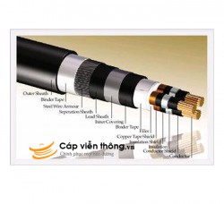 Dây cáp điện Sino, Cáp ngầm DSTA 3x4