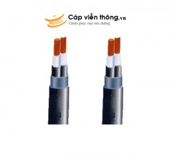 Dây cáp điện Sino, Cáp ngầm DSTA 2x2.5