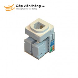 Ổ cắm hạt mạng Sino