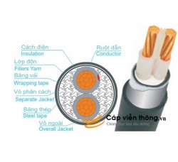 Dây cáp điện Trần Phú, Cáp ngầm CXV-DSTA 2x10