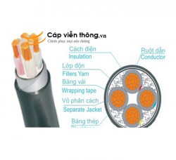 Dây cáp điện Trần Phú, Cáp ngầm CXV-DSTA 4x50
