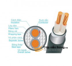 Dây cáp điện Trần Phú, Cáp ngầm CXV-DSTA 2x35