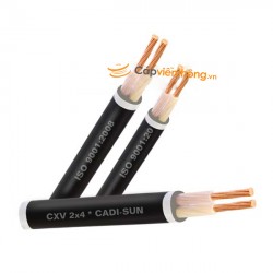 Dây cáp điện Cadisun, Cáp treo CXV 2x10