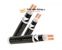 Dây cáp điện Cadisun, Cáp ngầm DSTA 2x2.5