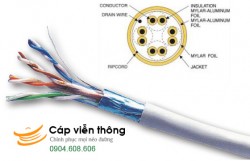 Cáp Mạng Dintek CAT.5E FTP (Thùng 305m)
