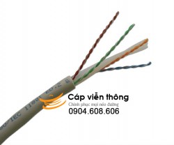 Cáp Mạng DintekCAT.6A 305m (1101-06001)