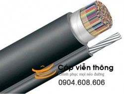 Dây cáp điện thoại 200 đôi treo có dầu 200x2x0,5 ( Sacom, Z43, vinacap, PCM..)