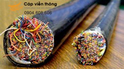 Cáp điện thoại luồn cống 100 đôi có dầu 100x2x0,5 ( PMC - Z43 - Sacom...)