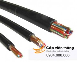 Cáp điện thoại Sino bọc PVC 25 đôi - 1 / 0,5 mm x 25P