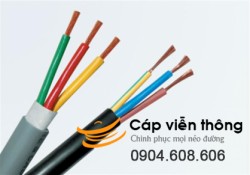  Cáp mạng Schneider Cat5e UTP 4 đôi